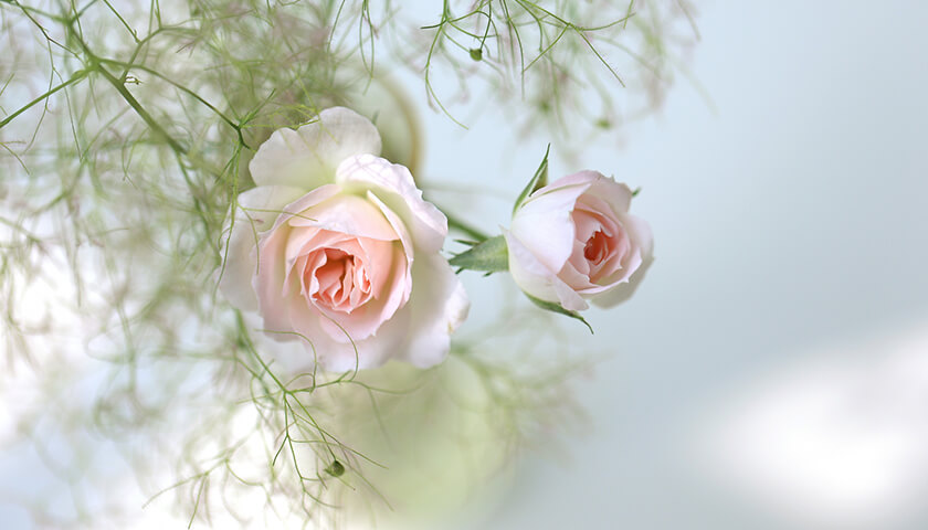 ��ǯ�֡�ǥ���ĤŤ��Ƥ�ǥ�����ʤ��������μ�ʬ�ˤ⸶��������?